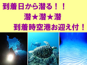 【沖縄本島】到着日ダイブ込み♪