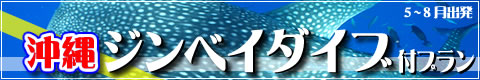 【ロング】沖縄ジンベイダイブ付プラン