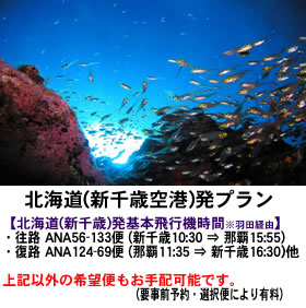 ２名以上の参加で超オトク！ファンダイブは３本目無料★ライセンス取得の方は申請料を負担します！グループプラン特集