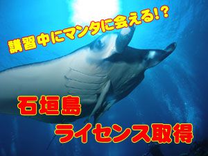 【石垣島】人気の離島でダイバーデビューだ！