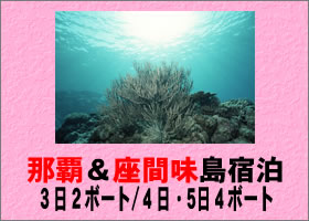 世界有数のダイビングスポット！慶良間で潜る！春～夏のケラマキャンペーン特集