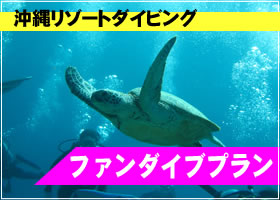 沖縄西海岸恩納村の宿泊施設併設のショップ！ピンクマーリンクラブ特集